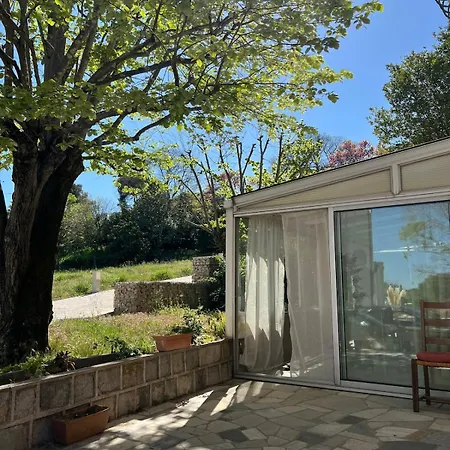 Apartment Villa Tilia